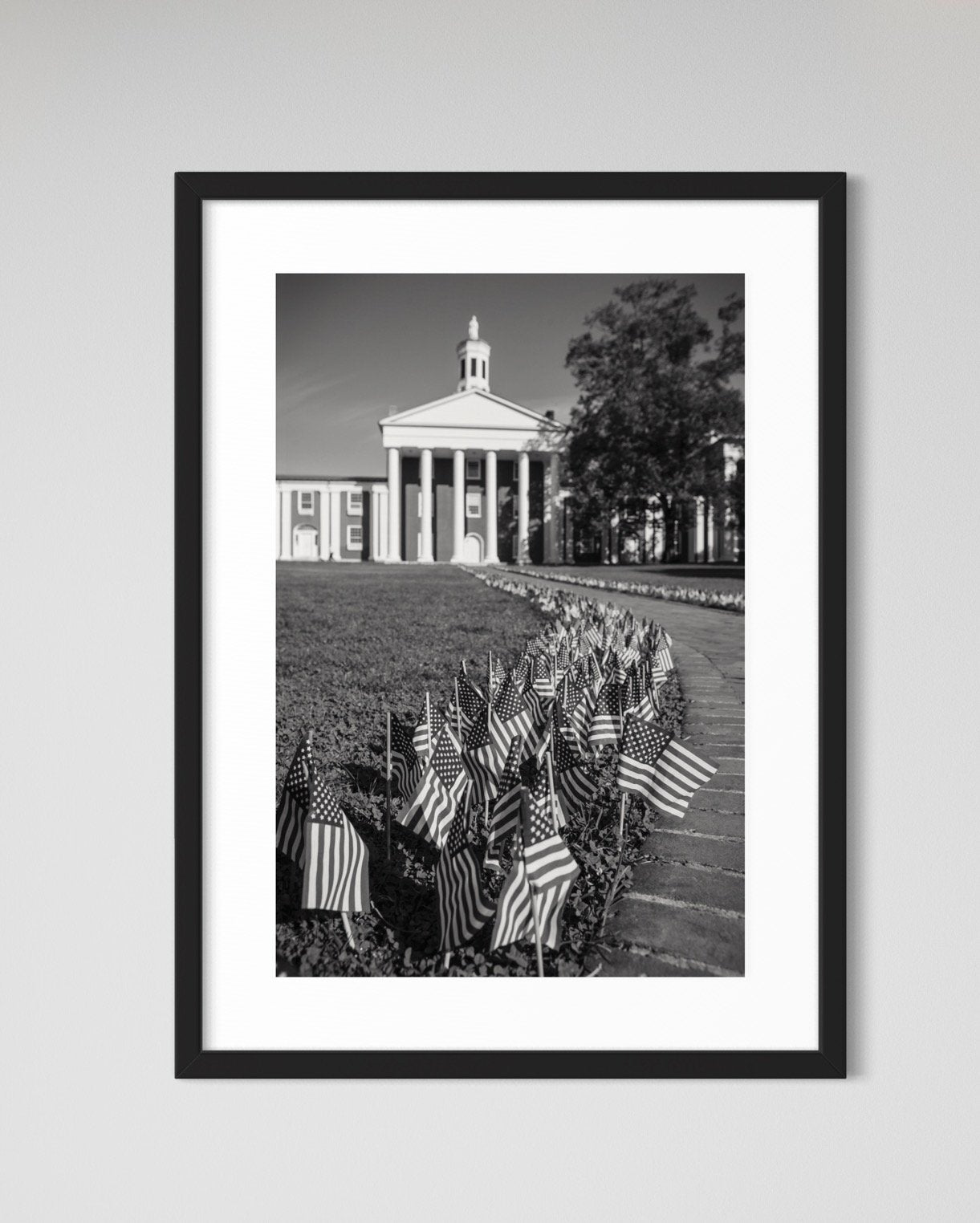 Colonnade Flags, 2-SQ3153122