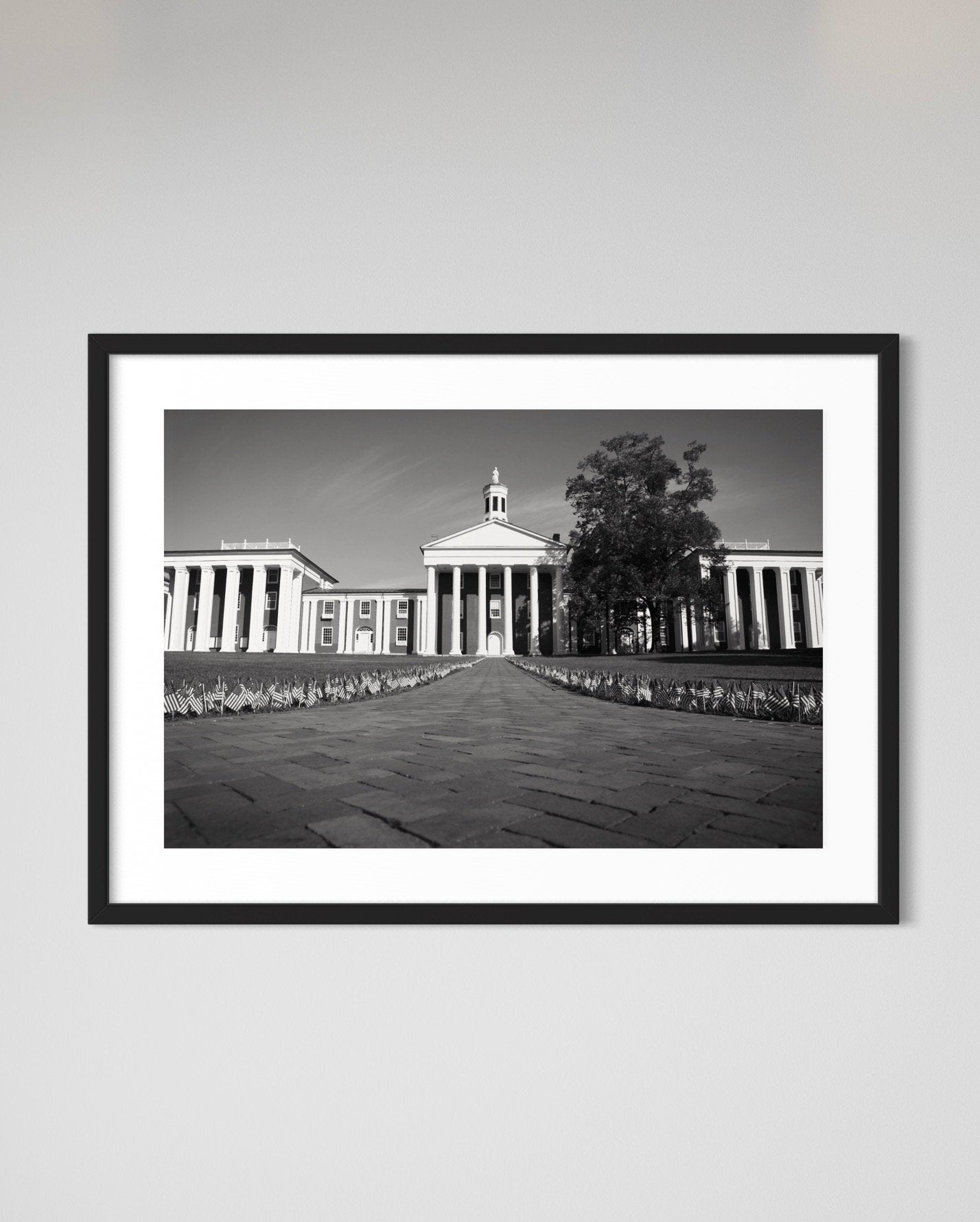 W&L Colonnade-SQ9016881