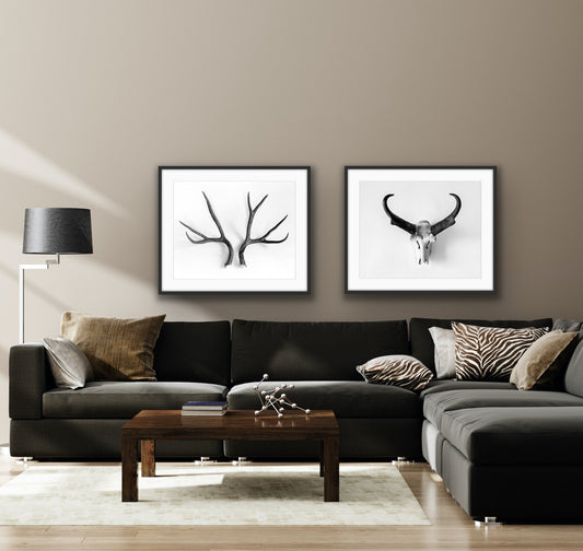 Pronghorn (Out West Series)