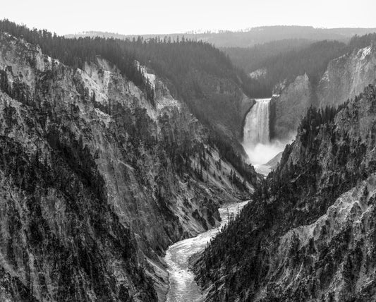 Yellowstone Falls