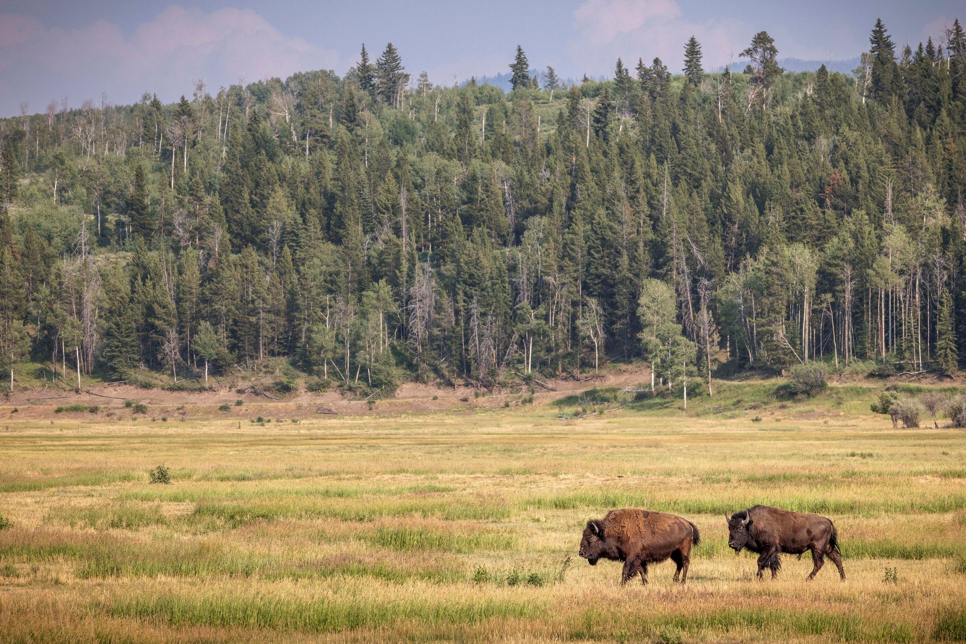 Two For The Road-SQ2508744