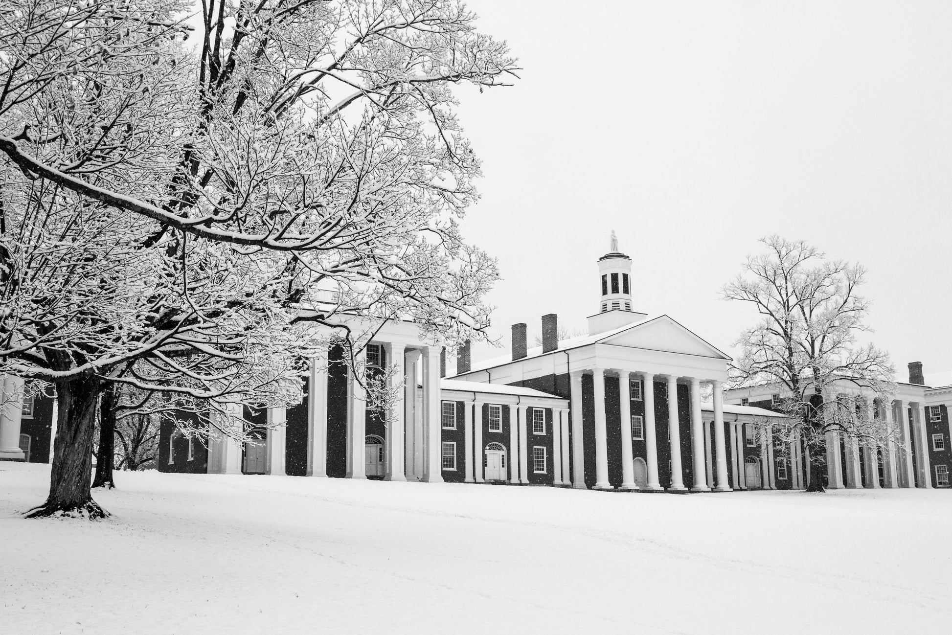 Winter on the Colonnade-SQ4153051