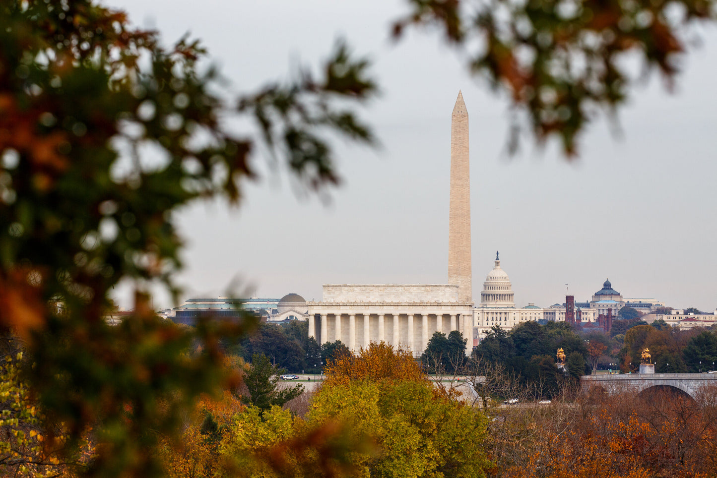 Fall in the District-SQ8382386