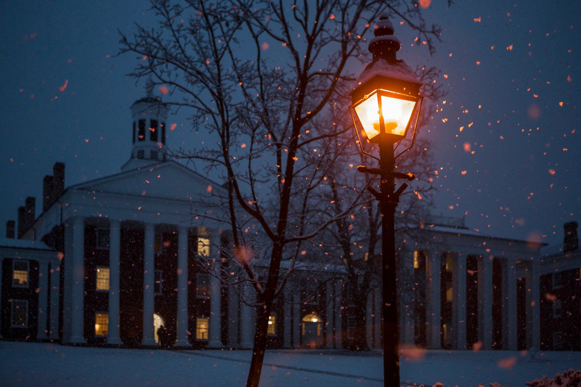 Winter in Lexington-SQ7444448