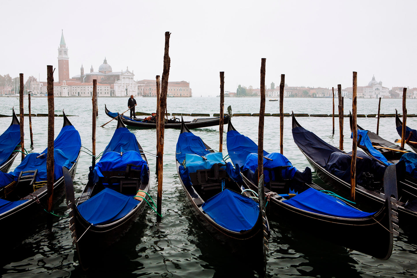 Along the Boardwalk-SQ1765065