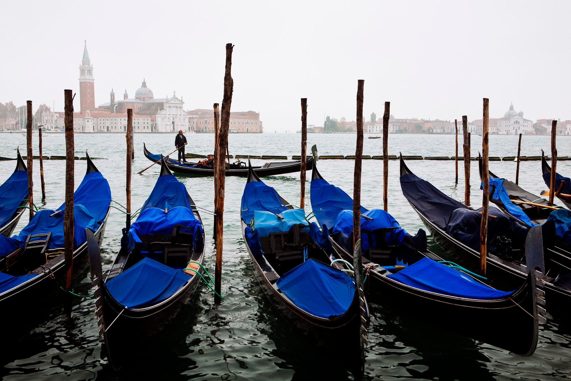 Along the Boardwalk-SQ1765065
