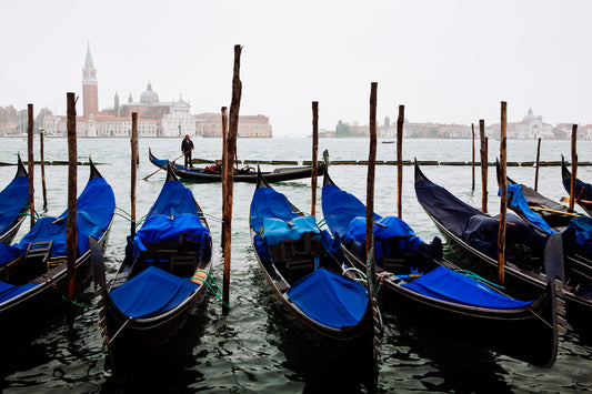 Along the Boardwalk-SQ1765065