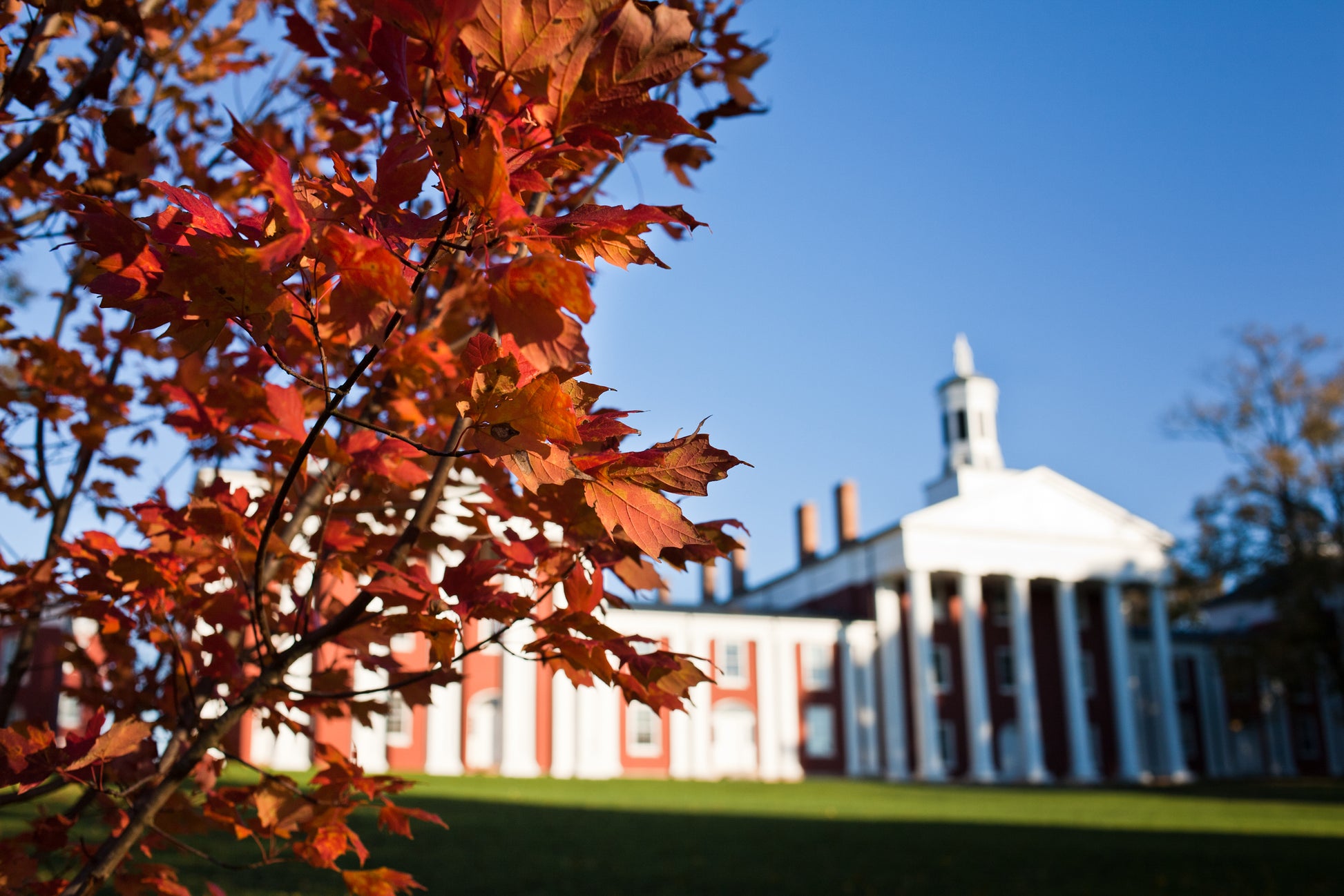 Autumn on the Colonnade-SQ2705991