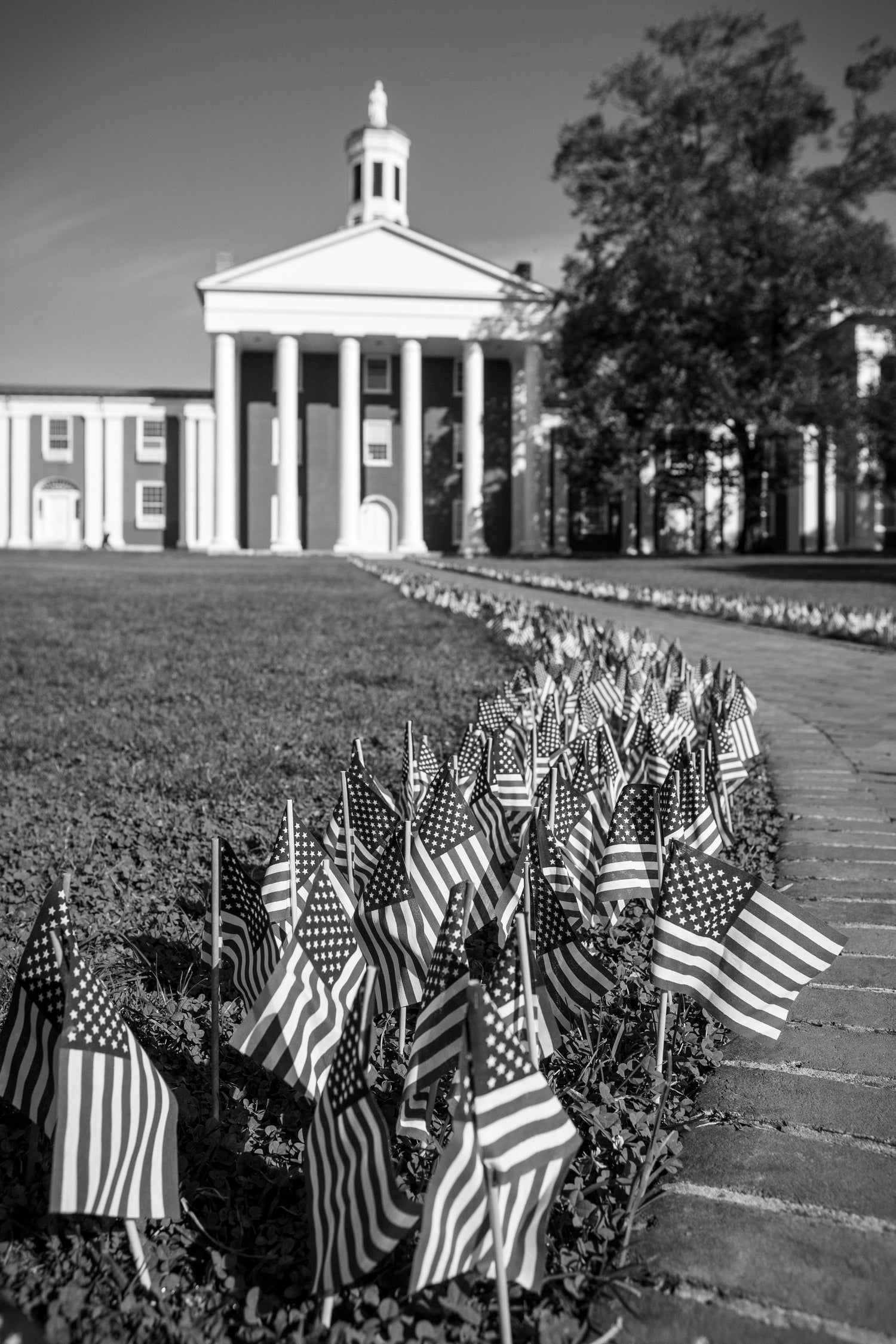 Colonnade Flags, 2-SQ3153122