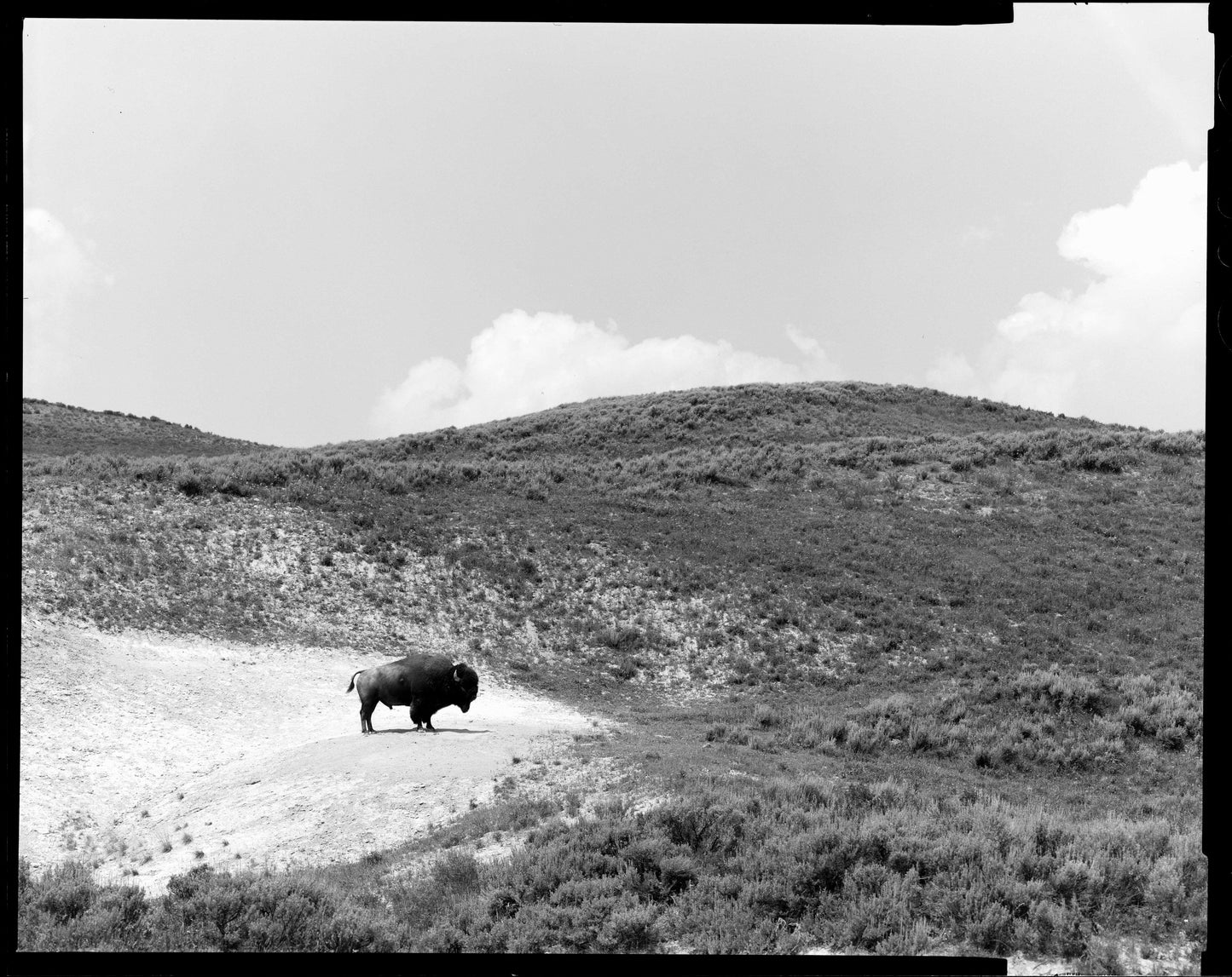 Alone On The Range