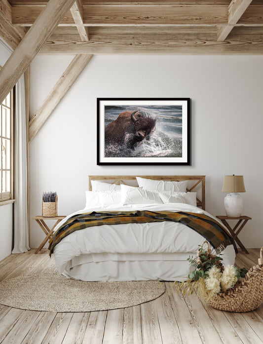 Shake It Off-SQ1472255