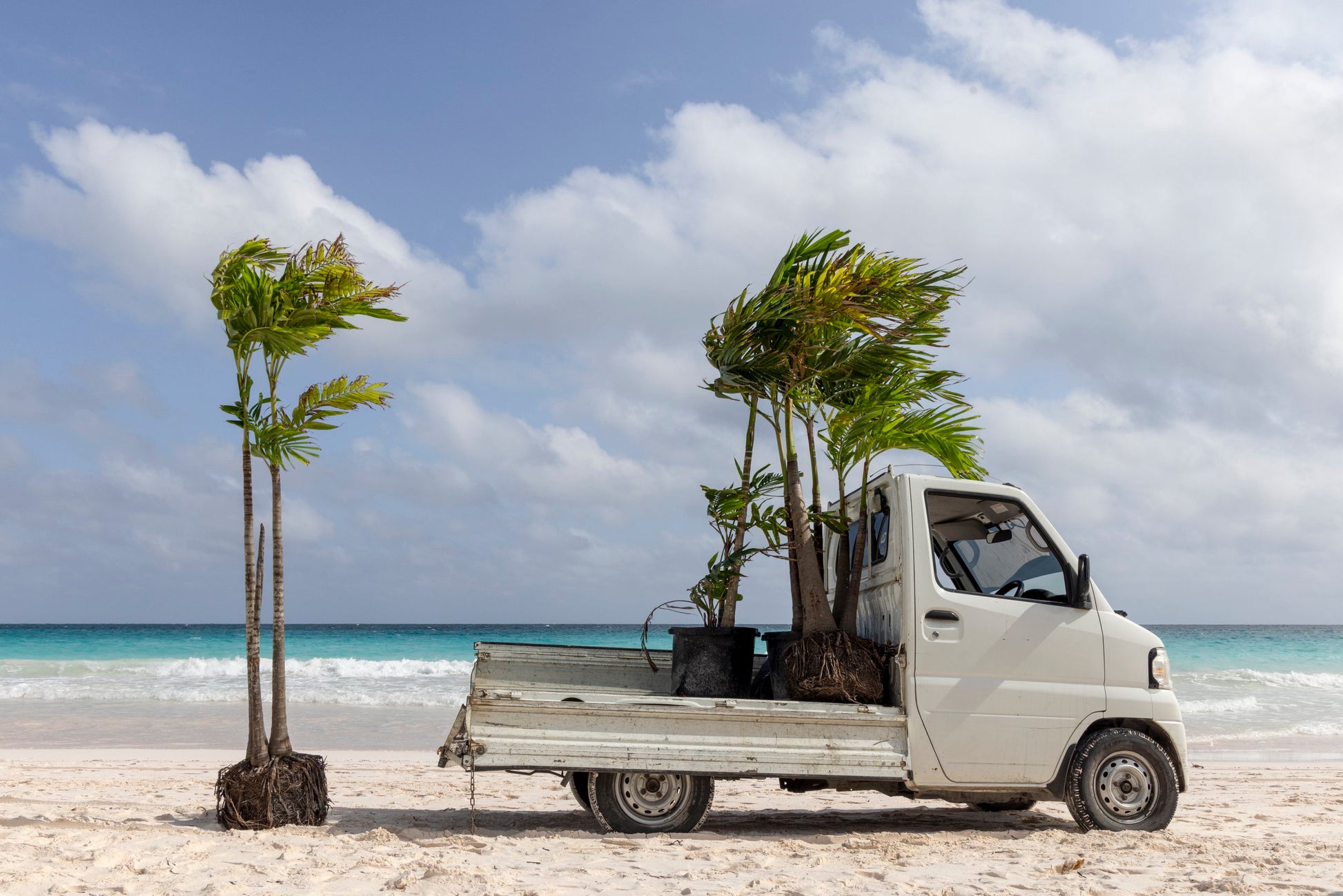 Beach Delivery-SQ4097184