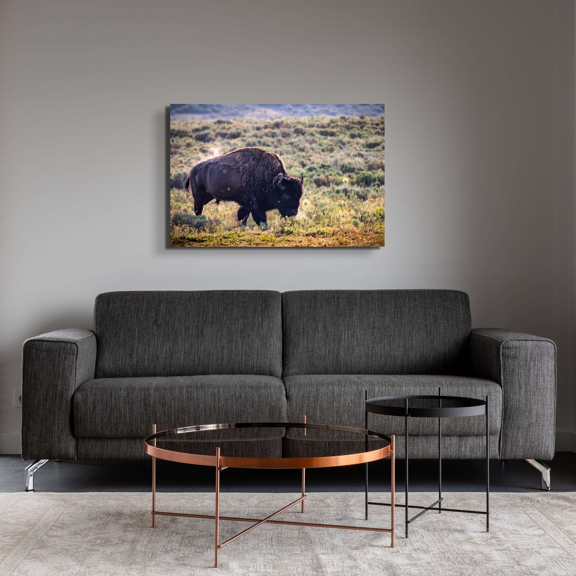 Morning Stroll-SQ6776331