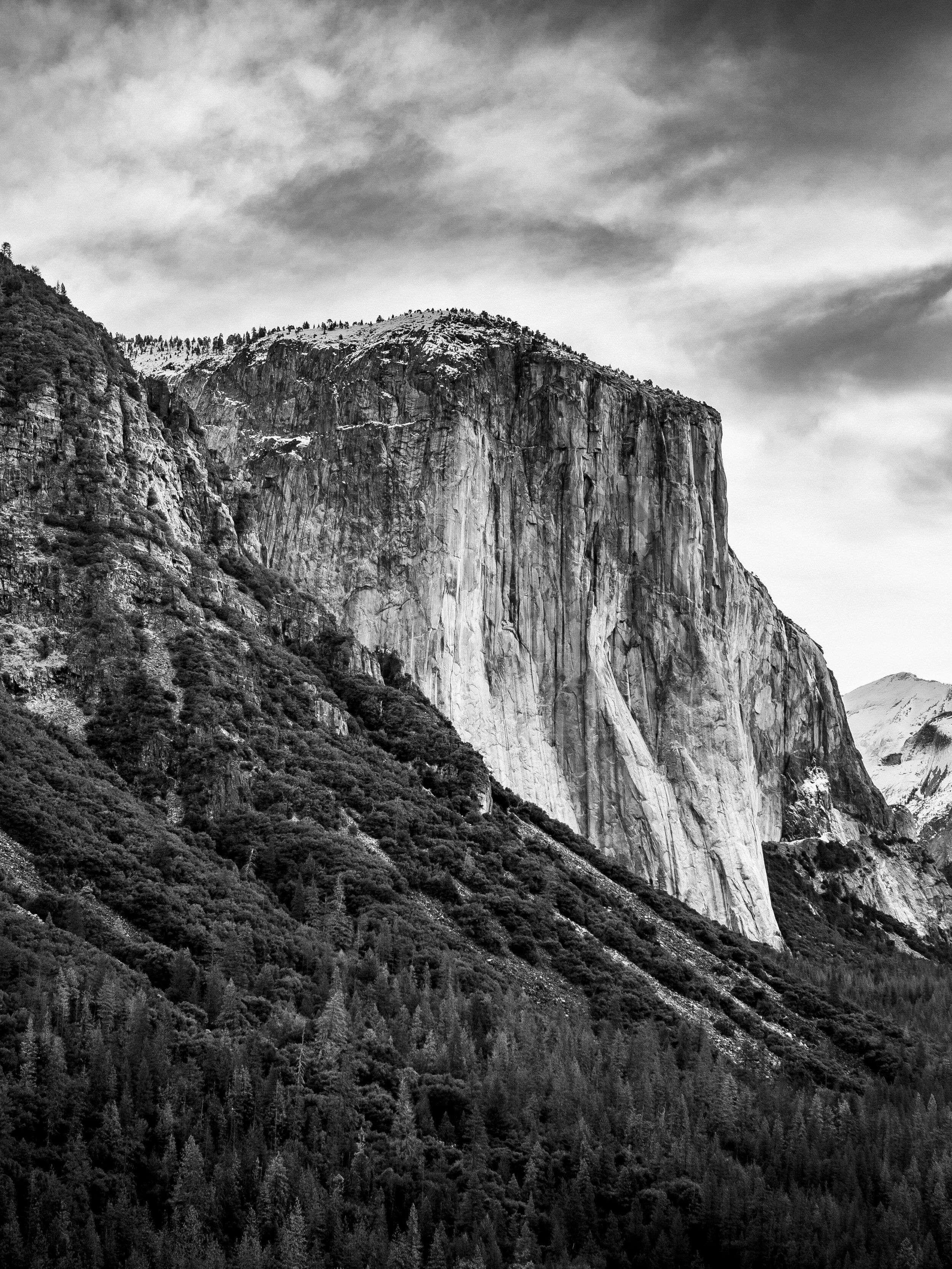 The Nose, El Cap – STEELE BURROW PHOTOGRAPHY