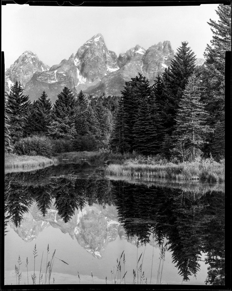Tetons Rising (Out West Series)