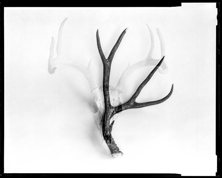 Revenant (Out West Series)