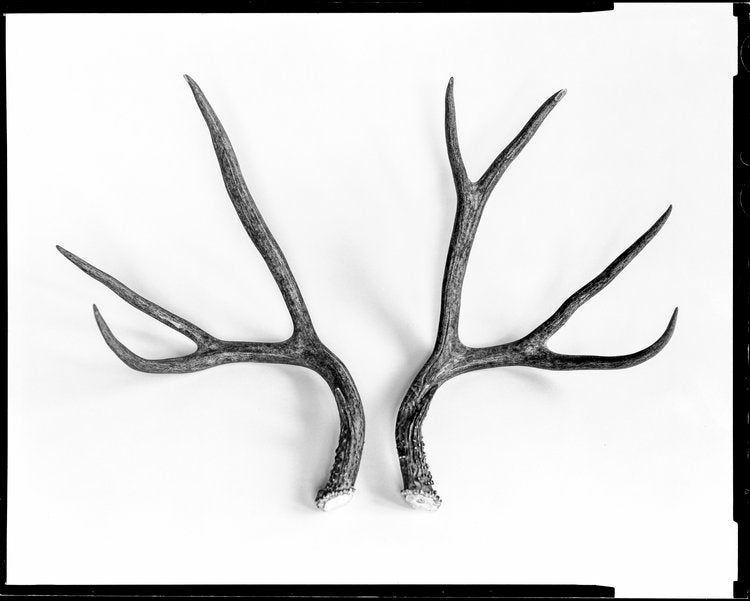 Spiked (Out West Series)
