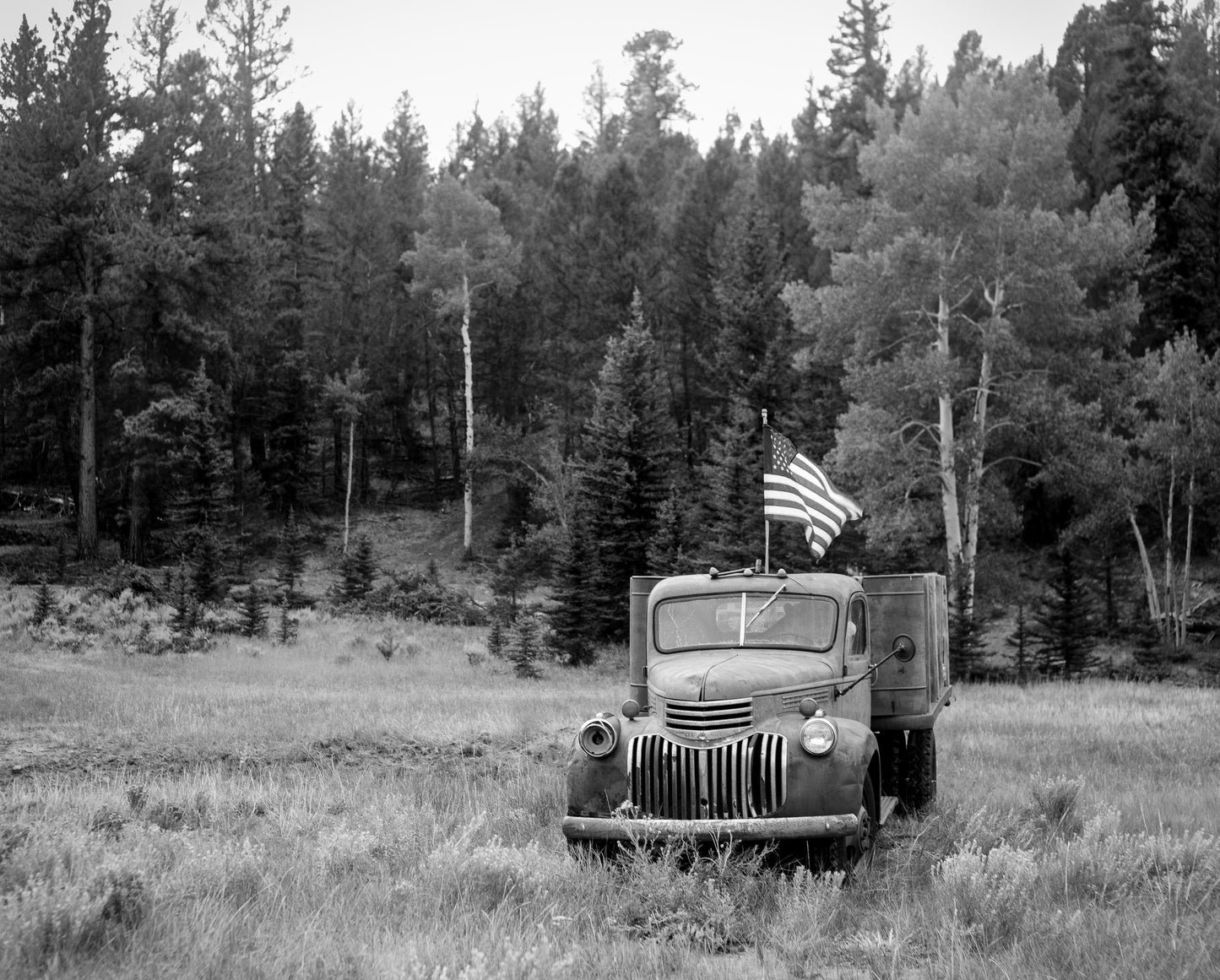 Old Glory (Out West Series)