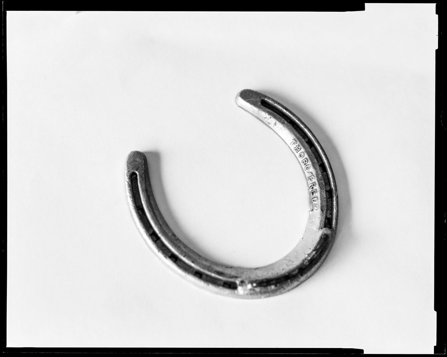 Thoro/Bred
(Out West Series)