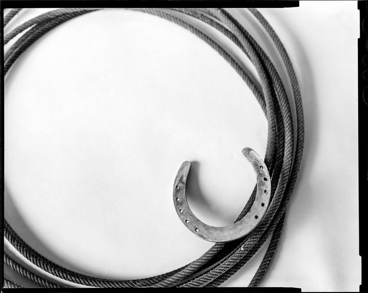 The Essentials (Out West Series)