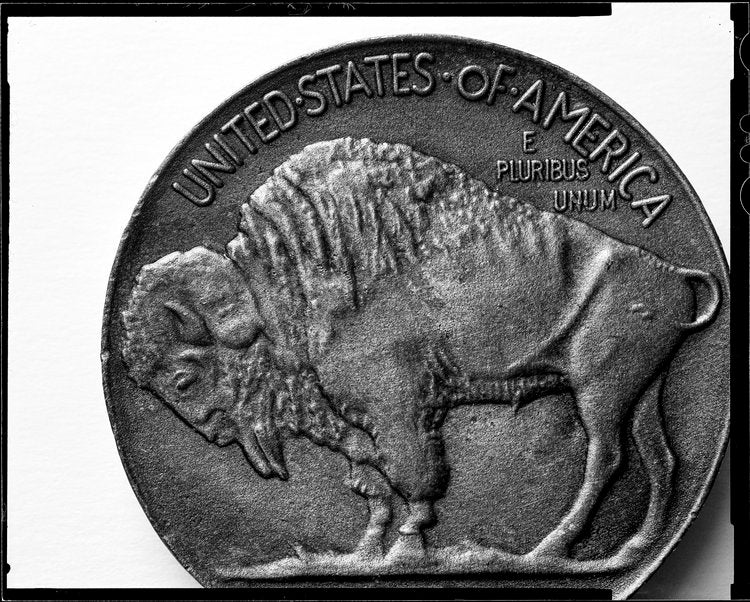 Buffalo Nickel