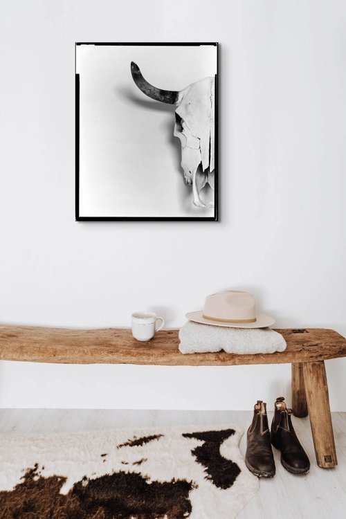 Steer, 1 (Out West Series)